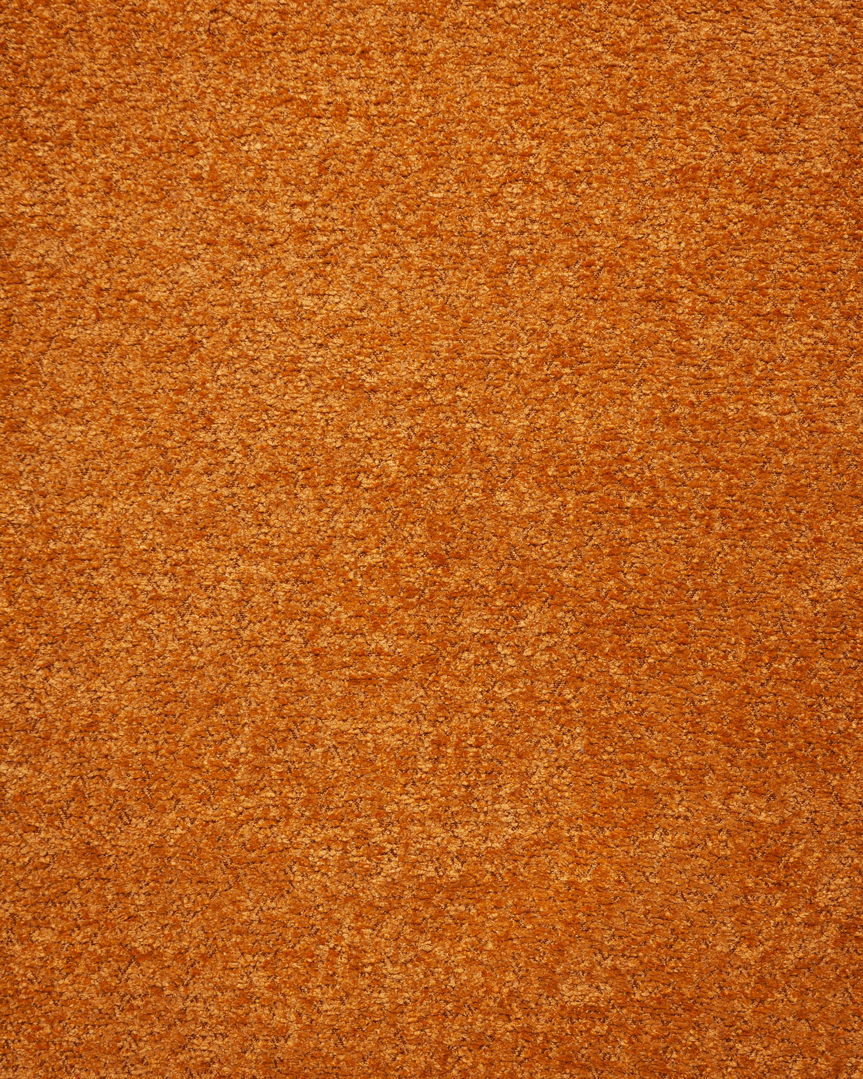 Anthology Mustard Fabric Swatch 10 x 15 cm