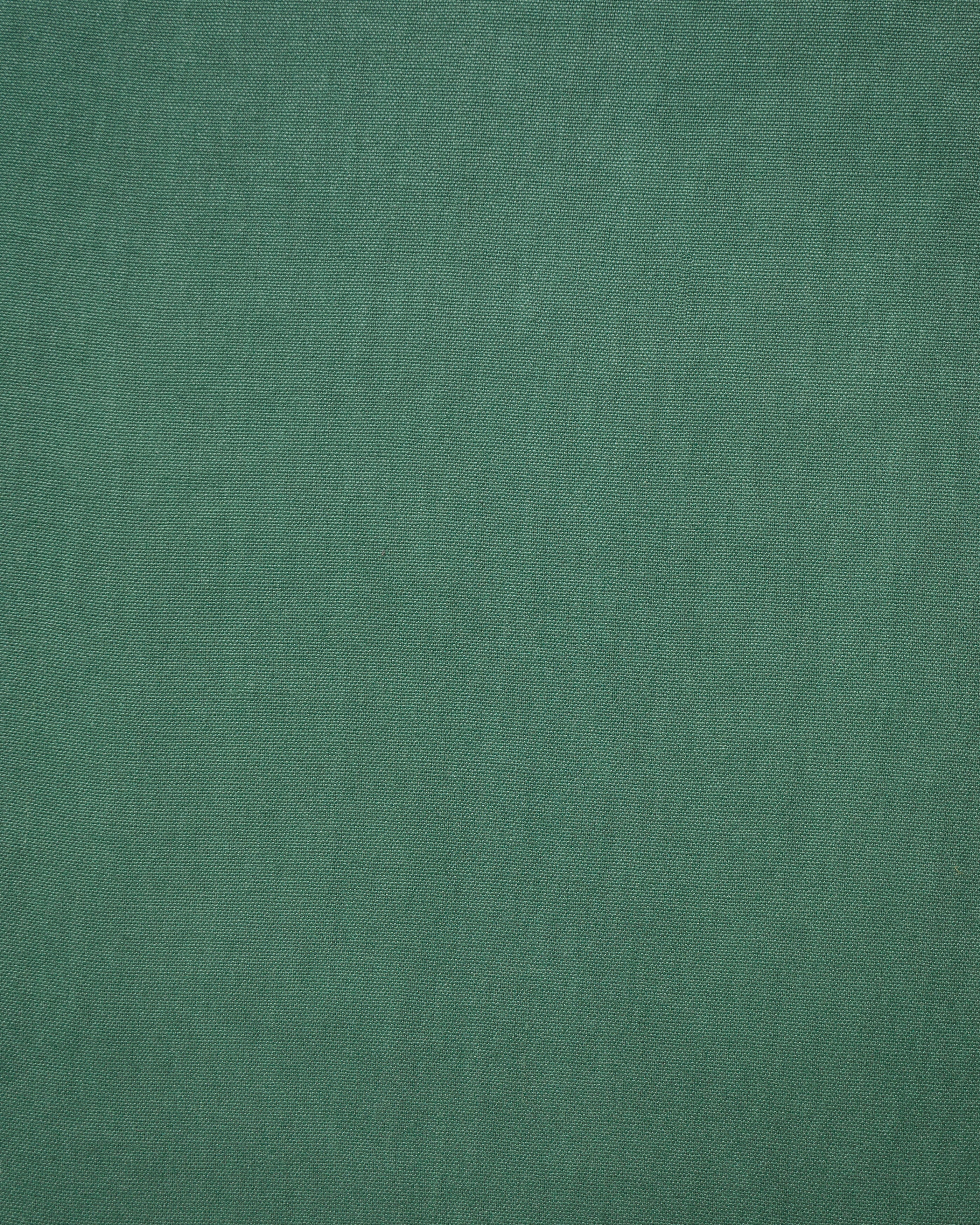 Planet Enzimi Light Green Fabric Swatch 10 x 15 cm