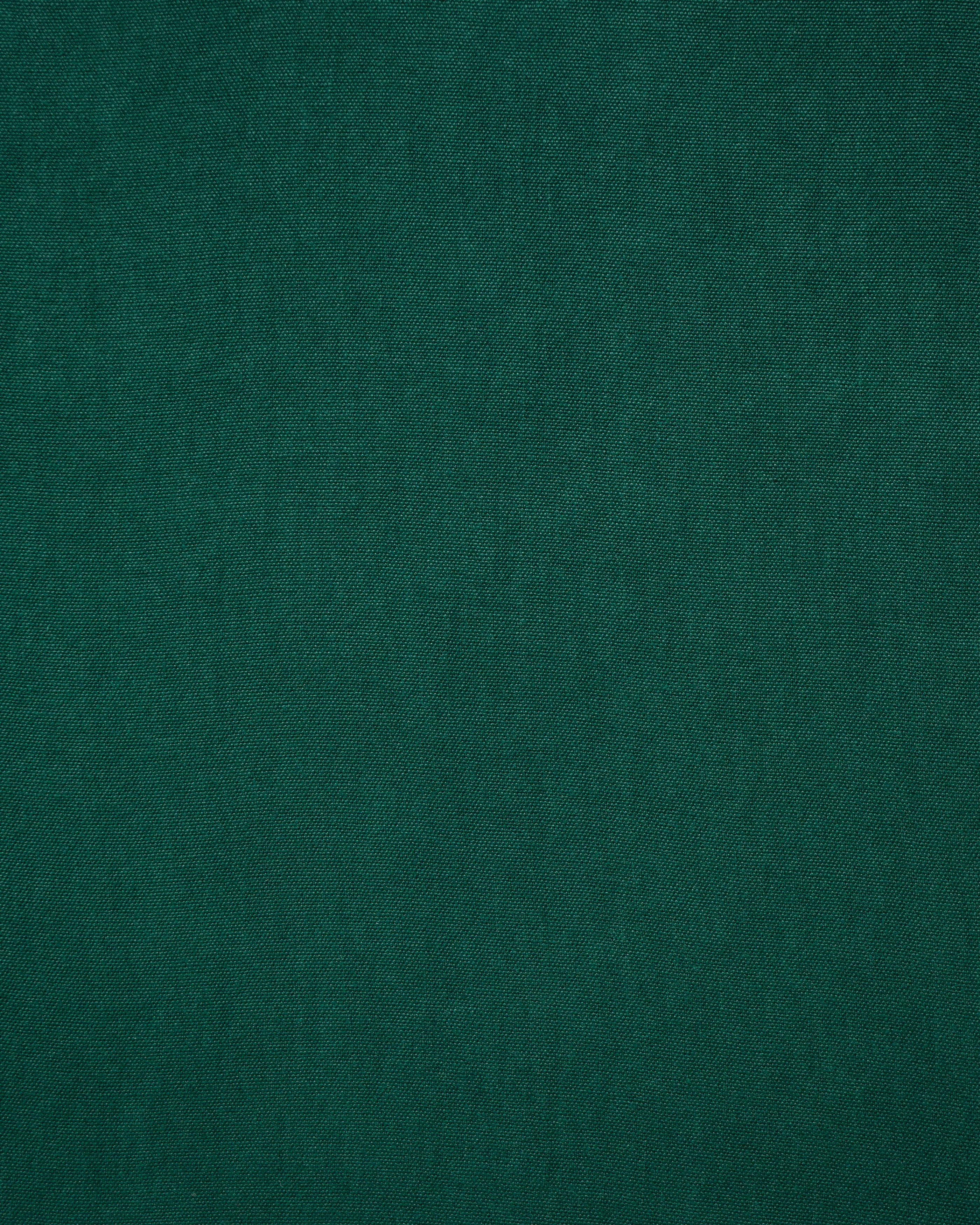 Planet Enzimi Dark Green Fabric Swatch 10 x 15 cm