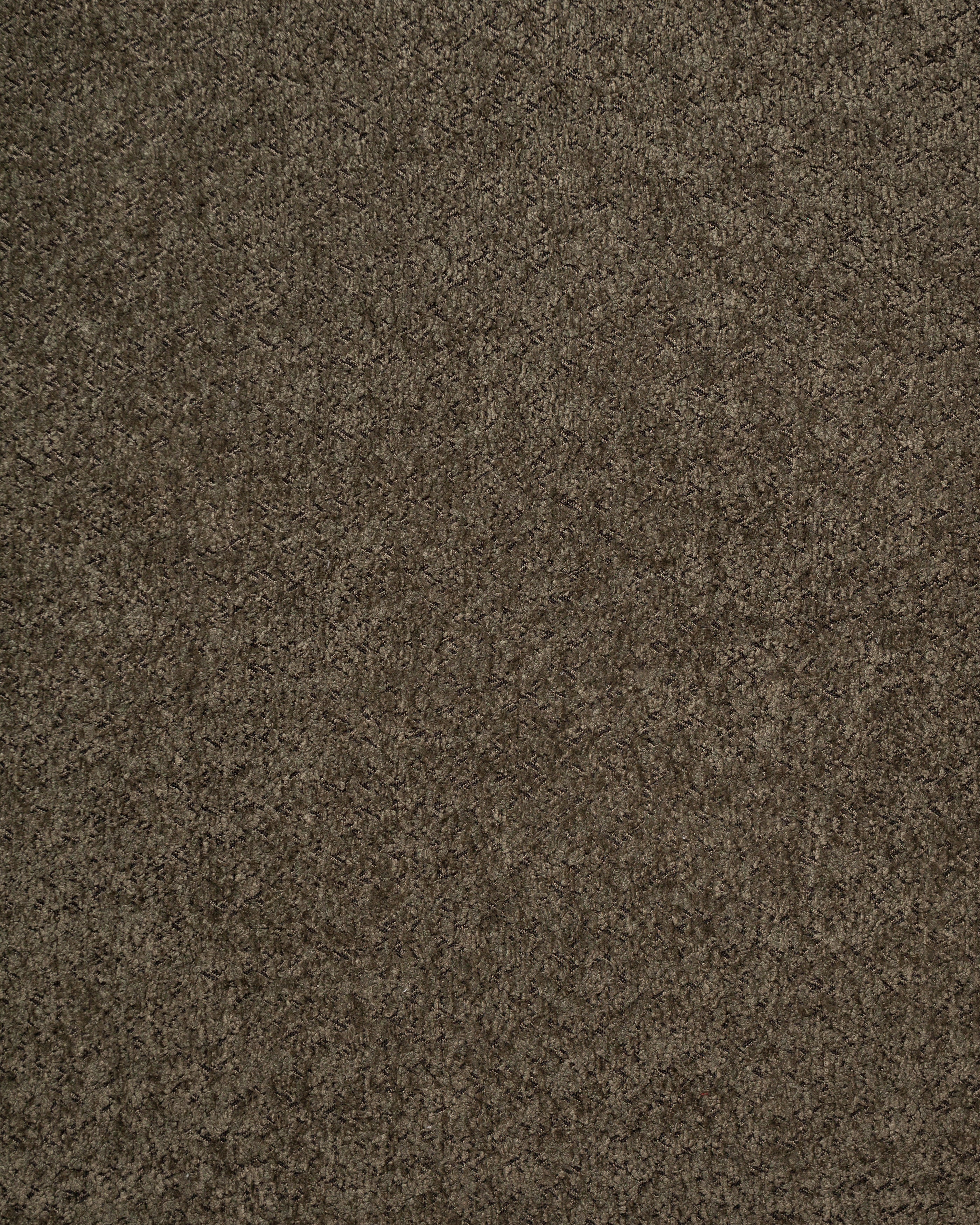 Anthology Dark Green Fabric Swatch 10 x 15 cm